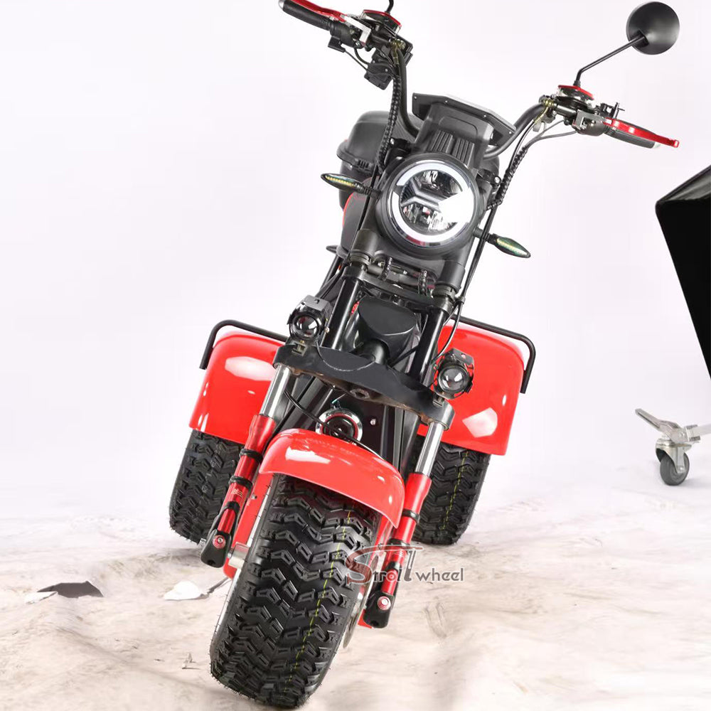 Germany Warehouse Stock CP-7 4000W 60V 55AH Battery With Rear Box Citycoco Tricycle