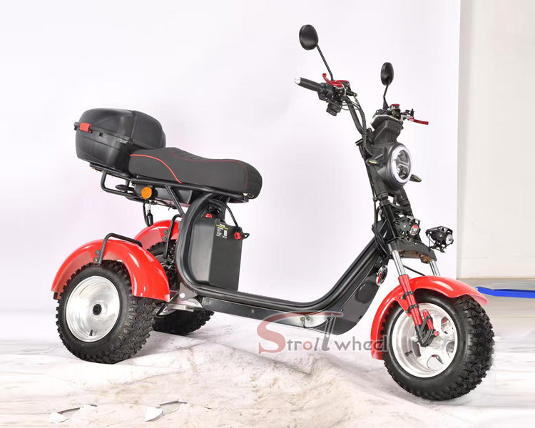 Germany Warehouse Stock CP-7 4000W 60V 55AH Battery With Rear Box Citycoco Tricycle
