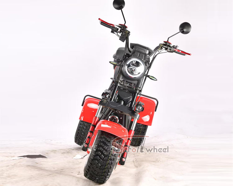 Germany Warehouse Stock CP-7 4000W 60V 55AH Battery With Rear Box Citycoco Tricycle