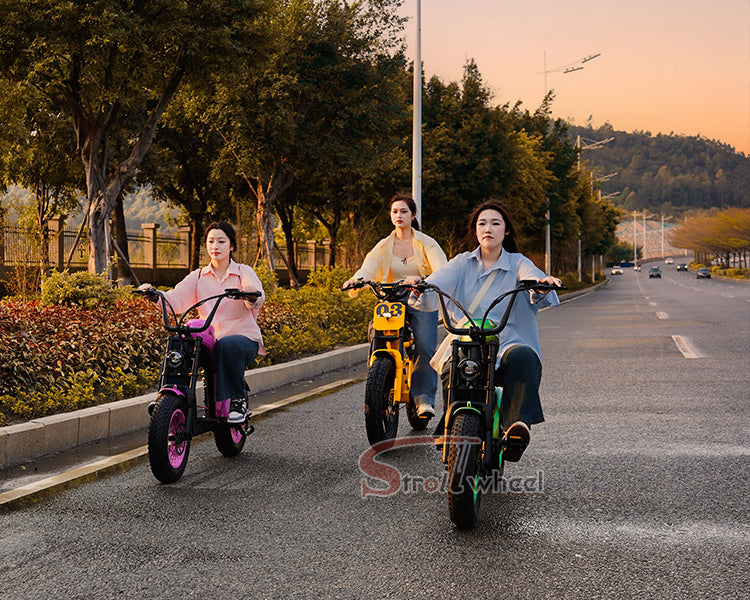 USA Warehouse Free Shipping FT03 Bicycle 750W Motor 48V 18.2Ah Battery Electric Bike Citycoco Motorcyce