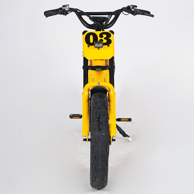 EU Warehouse FT03 750W 48V 18.2Ah Battery 2 Wheel Citycoco Electric Scooter Max Speed 50km/h