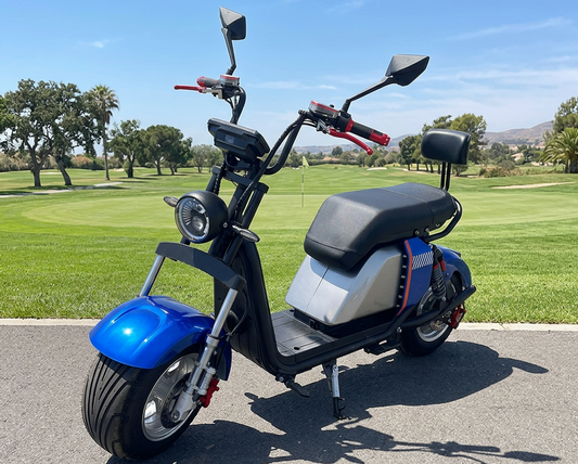 Citycoco Electric Scoote with 1000W Motor, Brazil Hot Sell Electric Motorcycle
