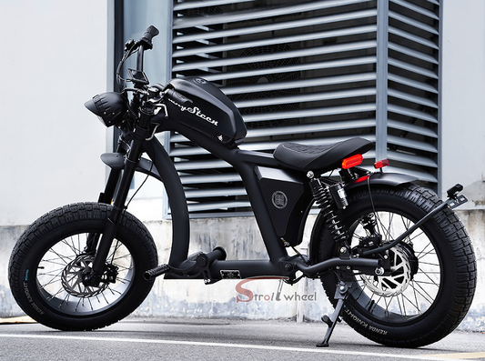 Stock in Germany Warehouse, 1000W 48V 22.5AH Battery Mangosteen Bicycle FT02 EEC Electric Bike