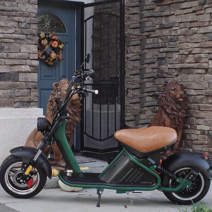 M2 3000W 60V 40Ah Battery Citycoco Electric Motorcycle, Ship From USA Warehouse