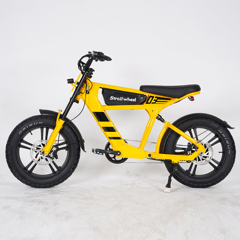 USA Warehouse Free Shipping FT03 Bicycle 750W Motor 48V 18.2Ah Battery Electric Bike Citycoco Motorcyce