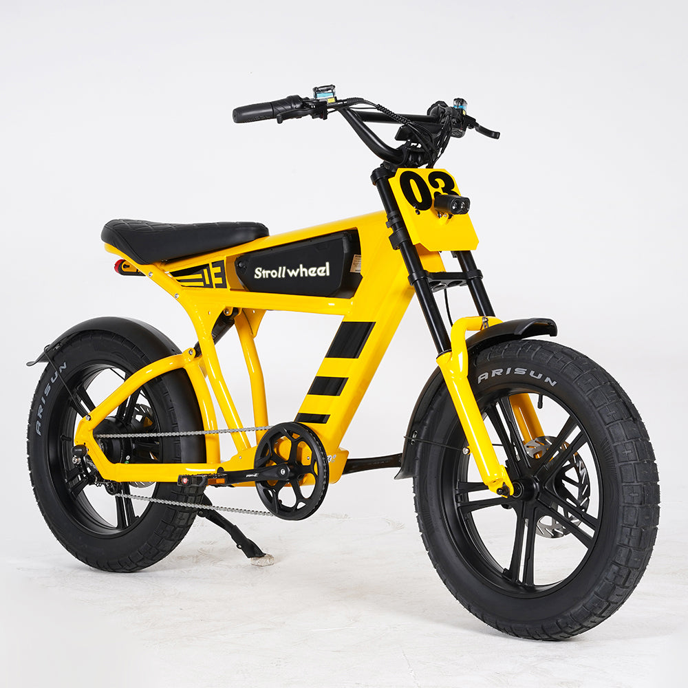 USA Warehouse Free Shipping FT03 Bicycle 750W Motor 48V 18.2Ah Battery Electric Bike Citycoco Motorcyce