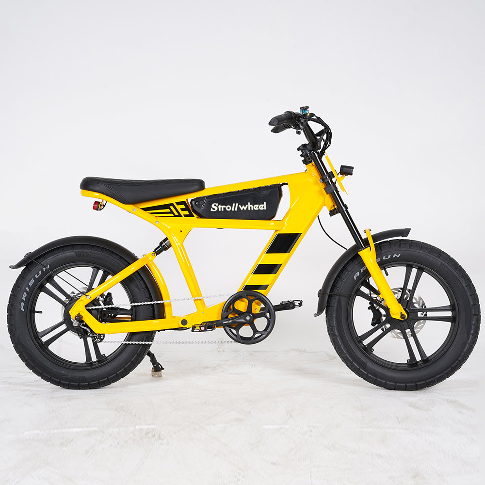 USA Warehouse Free Shipping FT03 Bicycle 750W Motor 48V 18.2Ah Battery Electric Bike Citycoco Motorcyce