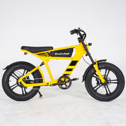 USA Warehouse Free Shipping FT03 Bicycle 750W Motor 48V 18.2Ah Battery Electric Bike Citycoco Motorcyce