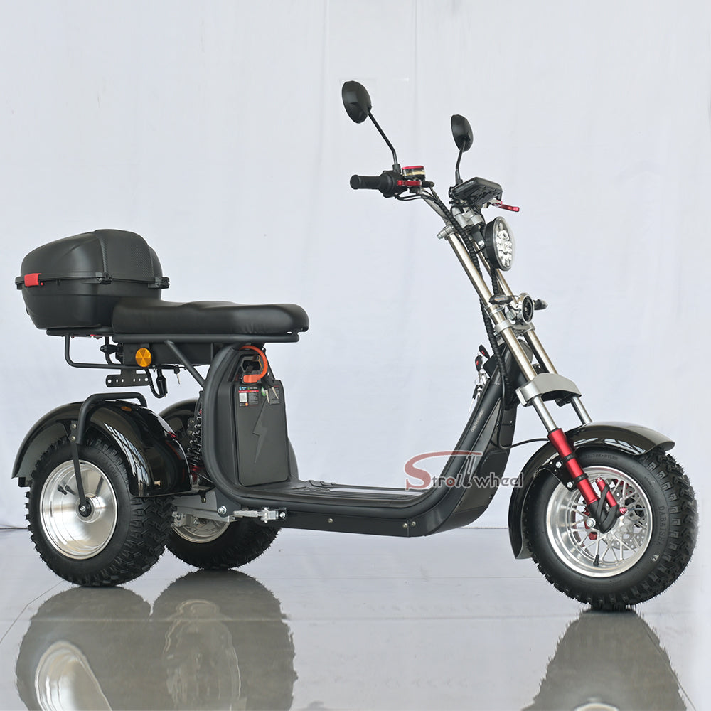 Germany Warehouse Stock CP-7 4000W 60V 55AH Battery With Rear Box Citycoco Tricycle