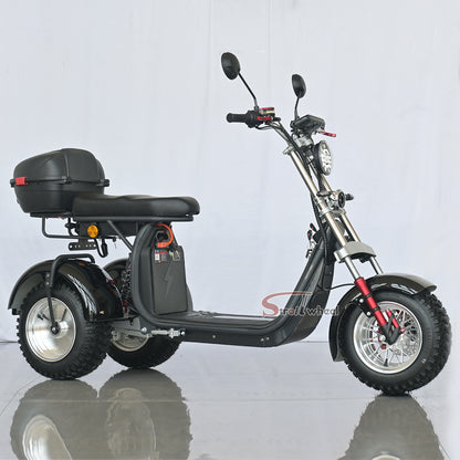 Germany Warehouse Stock CP-7 4000W 60V 55AH Battery With Rear Box Citycoco Tricycle