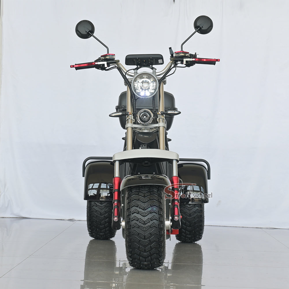 Germany Warehouse Stock CP-7 4000W 60V 55AH Battery With Rear Box Citycoco Tricycle