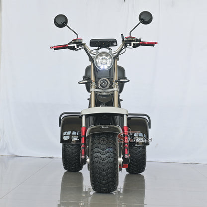 Germany Warehouse Stock CP-7 4000W 60V 55AH Battery With Rear Box Citycoco Tricycle