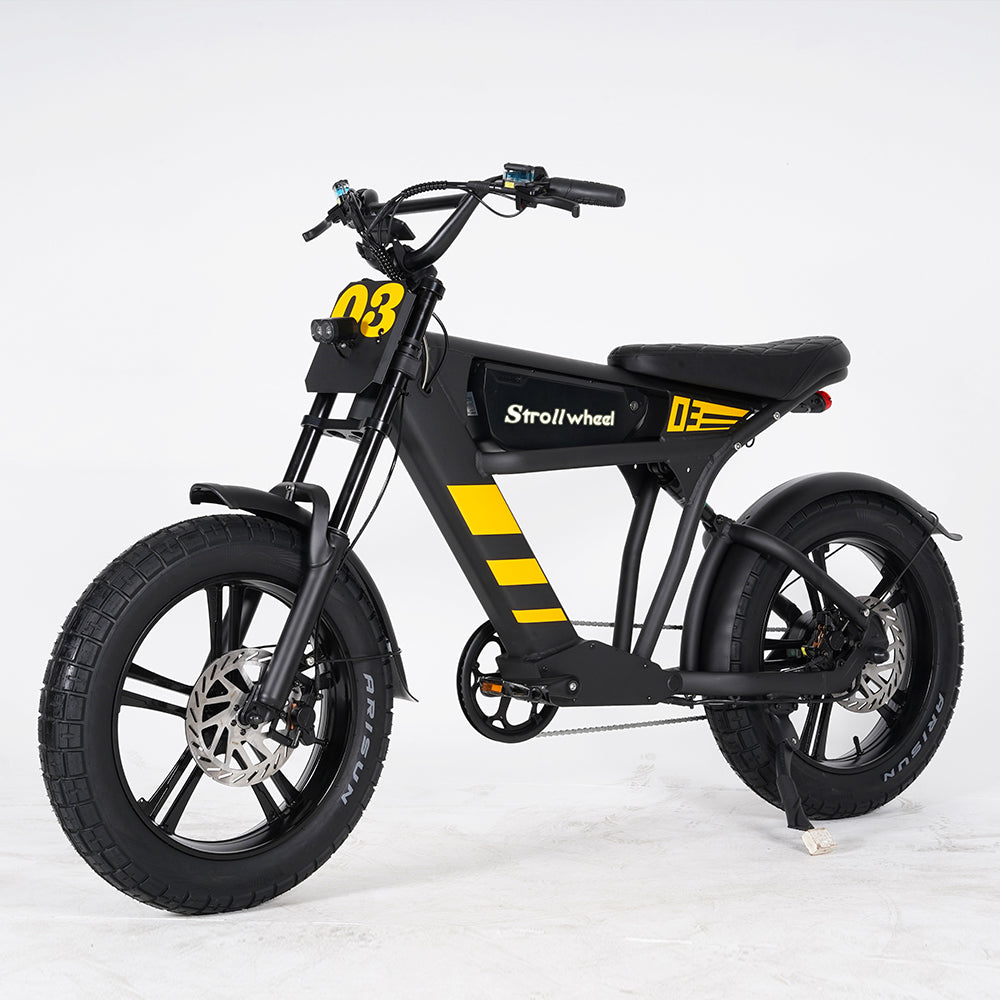 EU-Lager FT03 750W 48V 18,2 Ah Batterie 2 Rad Citycoco Elektroroller Max Geschwindigkeit 50km/h