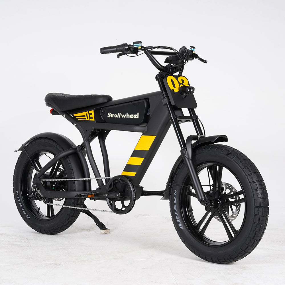 USA Warehouse Free Shipping FT03 Bicycle 750W Motor 48V 18.2Ah Battery Electric Bike Citycoco Motorcyce