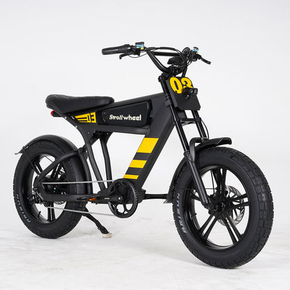 USA Warehouse Free Shipping FT03 Bicycle 750W Motor 48V 18.2Ah Battery Electric Bike Citycoco Motorcyce