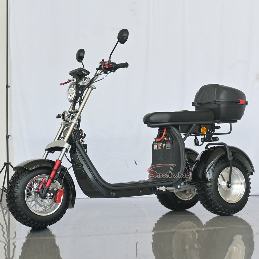 Germany Warehouse Stock CP-7 4000W 60V 55AH Battery With Rear Box Citycoco Tricycle