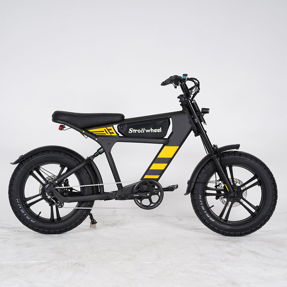 USA Warehouse Free Shipping FT03 Bicycle 750W Motor 48V 18.2Ah Battery Electric Bike Citycoco Motorcyce