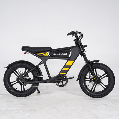 USA Warehouse Free Shipping FT03 Bicycle 750W Motor 48V 18.2Ah Battery Electric Bike Citycoco Motorcyce