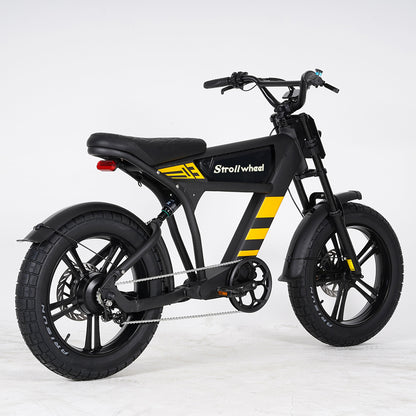 USA Warehouse Free Shipping FT03 Bicycle 750W Motor 48V 18.2Ah Battery Electric Bike Citycoco Motorcyce