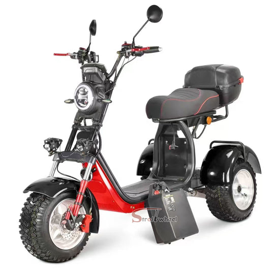 Germany Warehouse Stock CP-7 4000W 60V 55AH Battery With Rear Box Citycoco Tricycle
