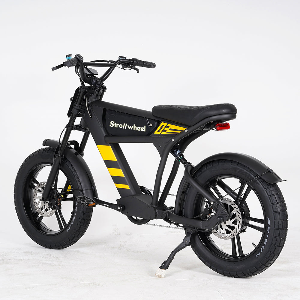 USA Warehouse Free Shipping FT03 Bicycle 750W Motor 48V 18.2Ah Battery Electric Bike Citycoco Motorcyce