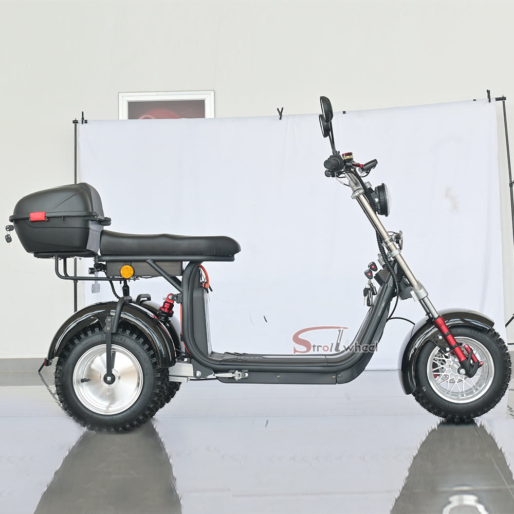 Germany Warehouse Stock CP-7 4000W 60V 55AH Battery With Rear Box Citycoco Tricycle