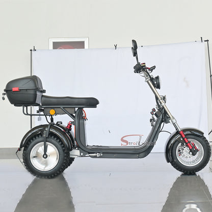 Germany Warehouse Stock CP-7 4000W 60V 55AH Battery With Rear Box Citycoco Tricycle