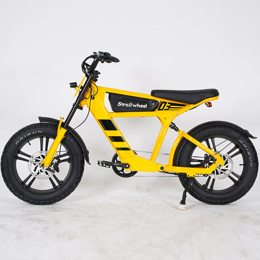 EU Warehouse FT03 750W 48V 18.2Ah Battery 2 Wheel Citycoco Electric Scooter Max Speed 50km/h