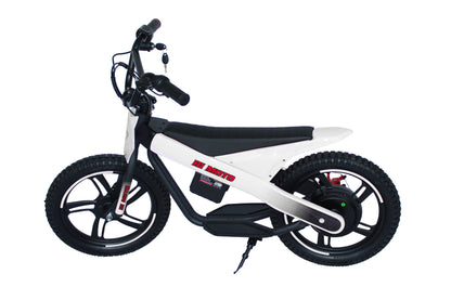 EU Stock ET-01 300W Motor 24V 6AH Battery 2 Wheel Electric Bicycle
