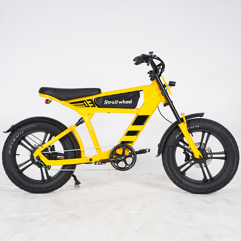EU Warehouse FT03 750W 48V 18.2Ah Battery 2 Wheel Citycoco Electric Scooter Max Speed 50km/h