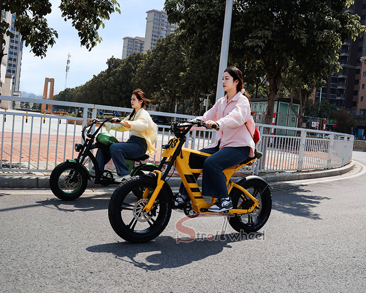 USA Warehouse Free Shipping FT03 Bicycle 750W Motor 48V 18.2Ah Battery Electric Bike Citycoco Motorcyce