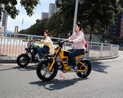 USA Warehouse Free Shipping FT03 Bicycle 750W Motor 48V 18.2Ah Battery Electric Bike Citycoco Motorcyce