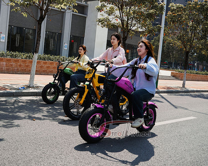 USA Warehouse Free Shipping FT03 Bicycle 750W Motor 48V 18.2Ah Battery Electric Bike Citycoco Motorcyce