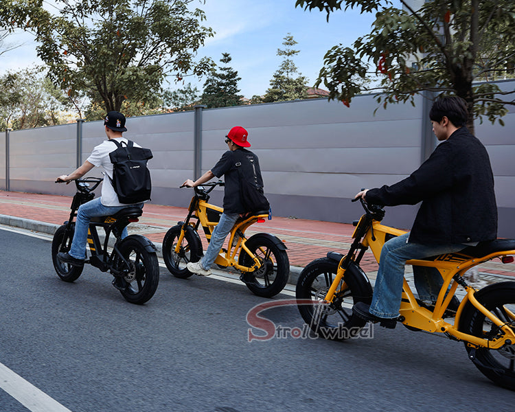 USA Warehouse Free Shipping FT03 Bicycle 750W Motor 48V 18.2Ah Battery Electric Bike Citycoco Motorcyce