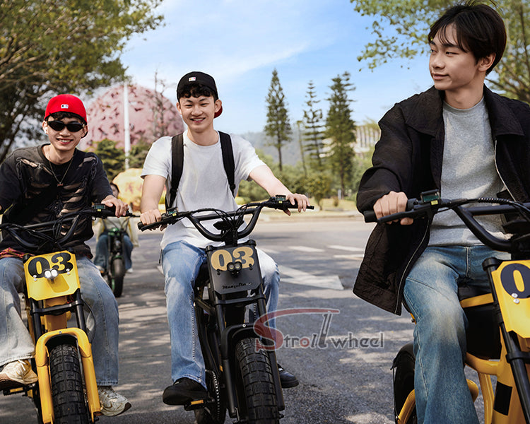 USA Warehouse Free Shipping FT03 Bicycle 750W Motor 48V 18.2Ah Battery Electric Bike Citycoco Motorcyce