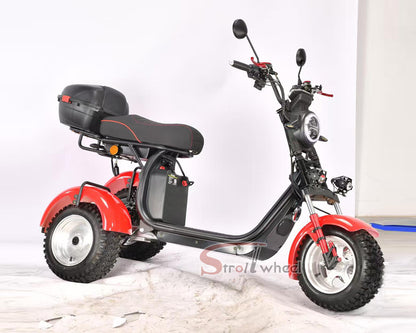 Germany Warehouse Stock CP-7 4000W 60V 55AH Battery With Rear Box Citycoco Tricycle
