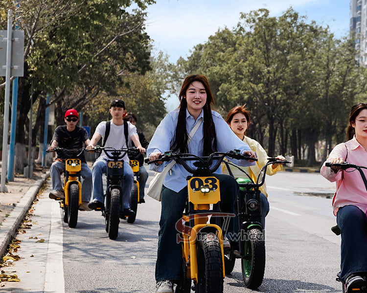 USA Warehouse Free Shipping FT03 Bicycle 750W Motor 48V 18.2Ah Battery Electric Bike Citycoco Motorcyce