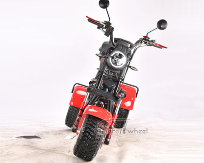 Germany Warehouse Stock CP-7 4000W 60V 55AH Battery With Rear Box Citycoco Tricycle