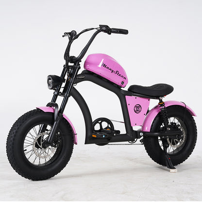 EU-Lager Citycoco Mini FT02 500W 48V 15AH Batterie 40km/h Max Geschwindigkeit 2 Rad Elektrische Motorrad