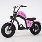 EU-Lager Citycoco Mini FT02 500W 48V 15AH Batterie 40km/h Max Geschwindigkeit 2 Rad Elektrische Motorrad