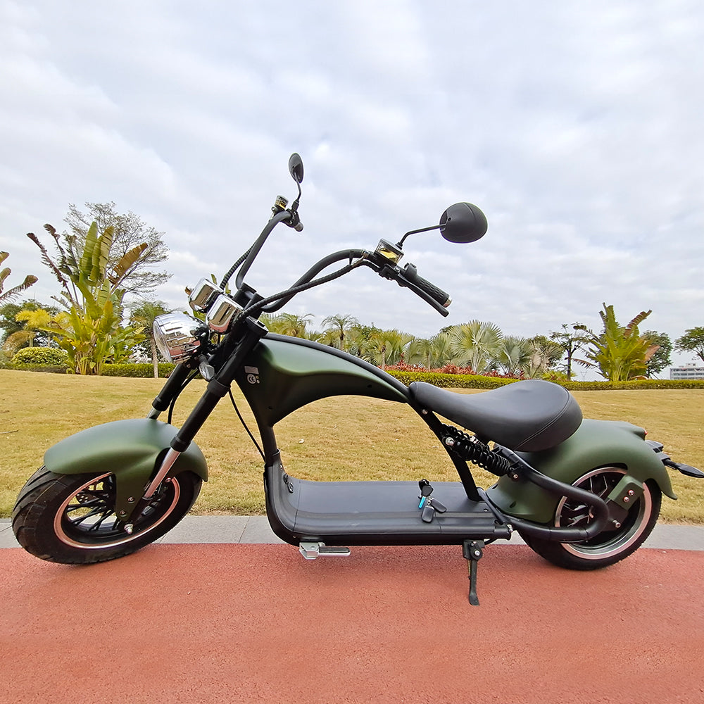 Mangosteen Citycoco M1P Scooter 2000W 30A, Ship from Europe