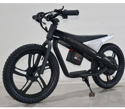 EU Stock ET-01 300W Motor 24V 6AH Battery 2 Wheel Electric Bicycle