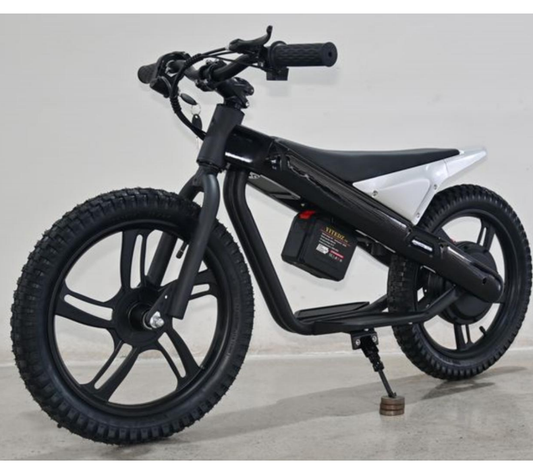 EU Stock ET-01 300W Motor 24V 6AH Battery 2 Wheel Electric Bicycle
