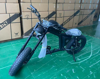 USA Stock 1500W 48V 30AH Battery 2 Wheel Electric Bicycle Motorcycle Fast Shipping Door to Door to USA