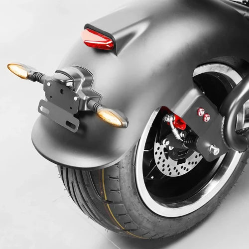 Mangosteen Citycoco M1P Scooter 2000W 30A, Ship from Europe