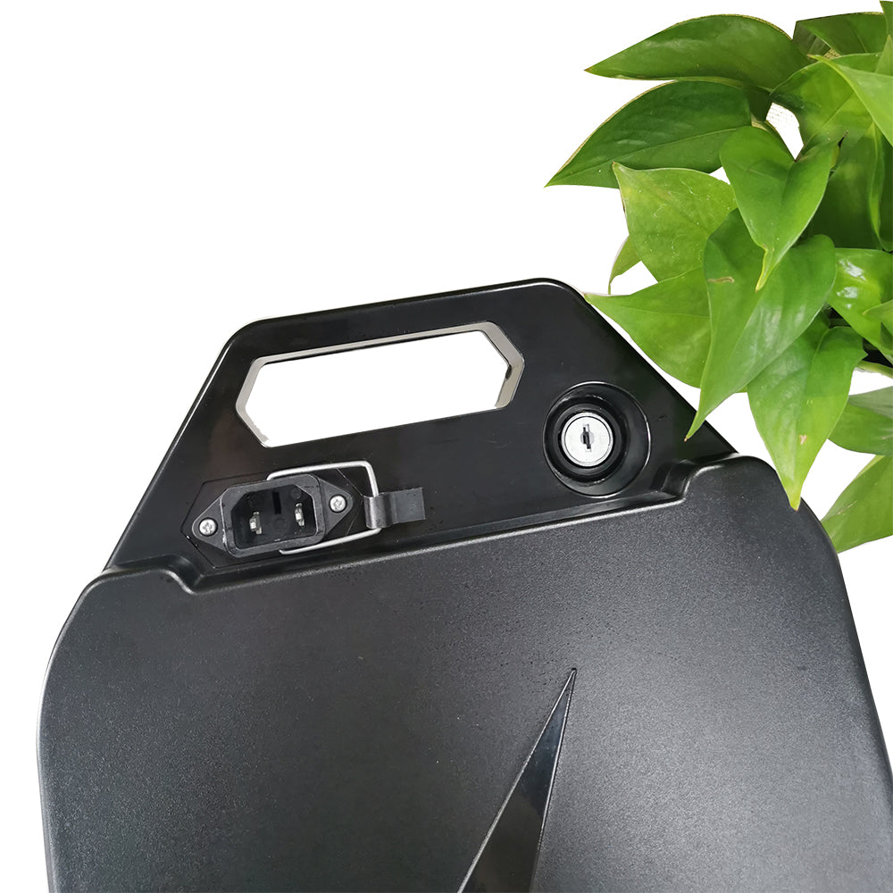 SHANSU Citycoco 60V 20Ah Lithiumbatterie für CP-Modelle unter dem Sitz